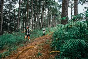 BIB: 
                            <button type="button" onclick="openModal(25689483)" class="btn btn-primary btn-sm float-right btn-popup" data-toggle="modal" data-target=".modal-high-quality">
                        <i class="fas fa-shopping-cart"></i> Add to Cart
                    </button>
                                            <button type="button" onclick="isThisMe(25689483, true)" class="btn btn-success btn-sm float-right btn-popup btn-isme hidden" data-toggle="tooltip" data-placement="bottom" title="นี่คือรูปของคุณใช่ไหม คลิกที่นี่เพื่อเอาเข้าอัลบั้ม">
                        <i class="fas fa-plus"></i> Add to album
                    </button>
                    <button type="button" onclick="isThisMe(25689483, false)" class="btn btn-warning btn-sm float-right btn-popup btn-isnotme hidden">
                        <i class="fas fa-ban"></i> Remove from album
                    </button>